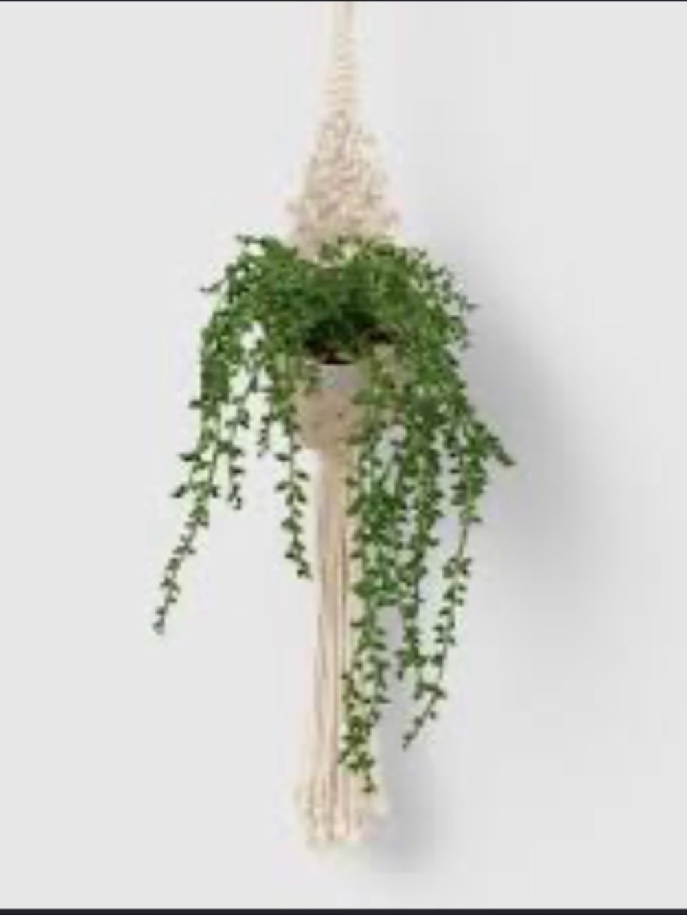 NWT! Macrame 32" Hanging Artificial String of Pearls from Threshold